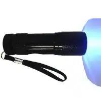Linterna pequeña luz UV Sellos
